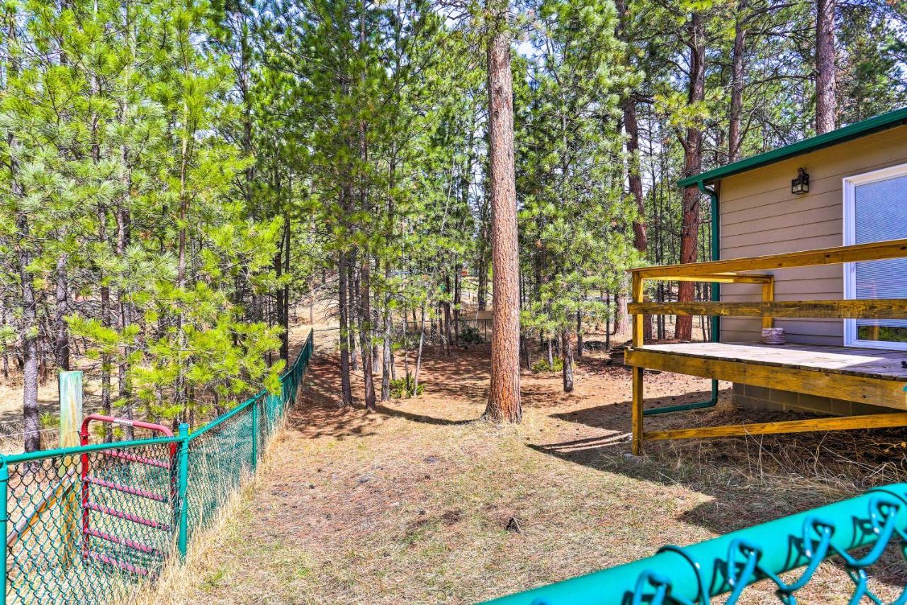 Private Black Hills Home With Corral Horses Welcome カスター エクステリア 写真