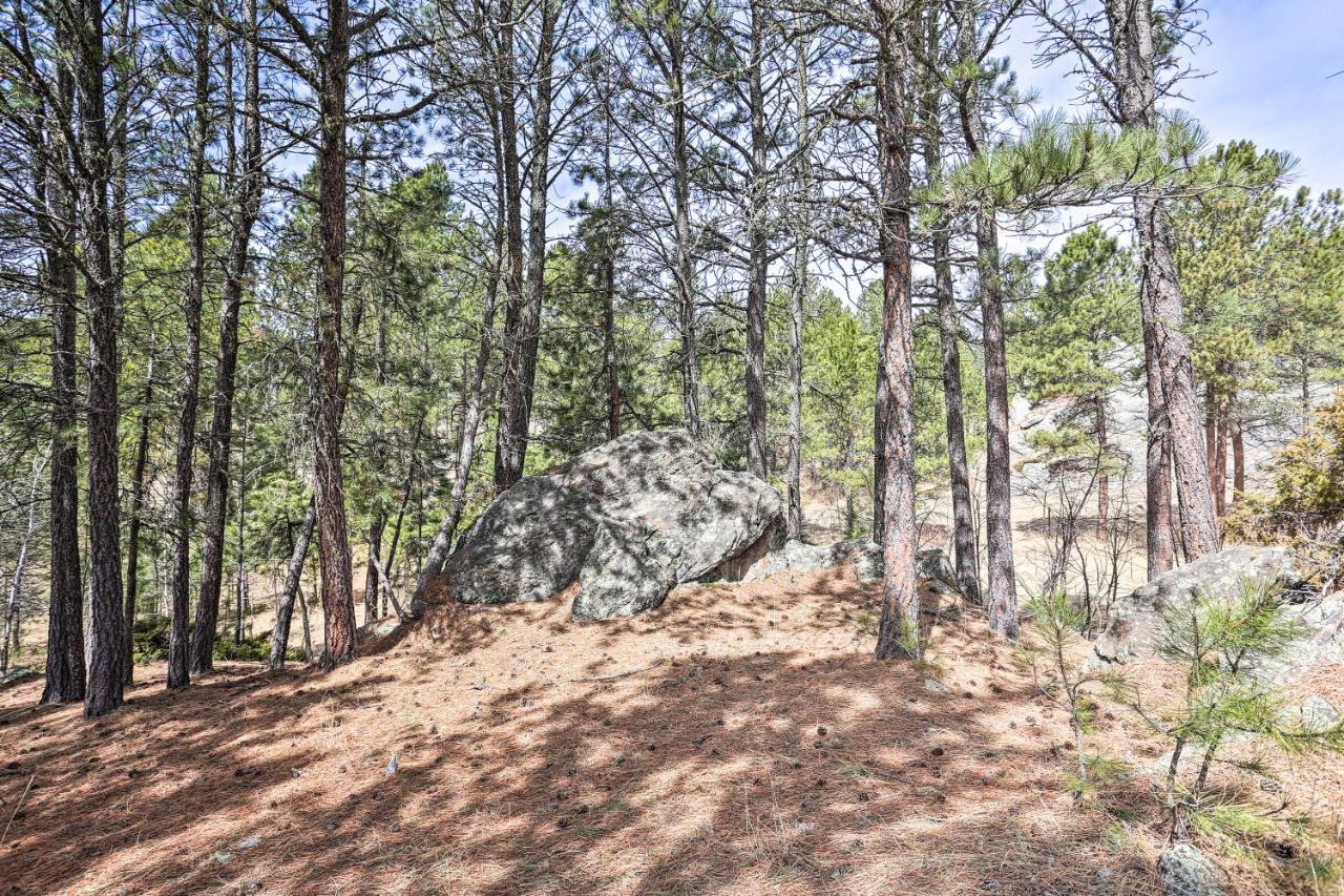 Private Black Hills Home With Corral Horses Welcome カスター エクステリア 写真