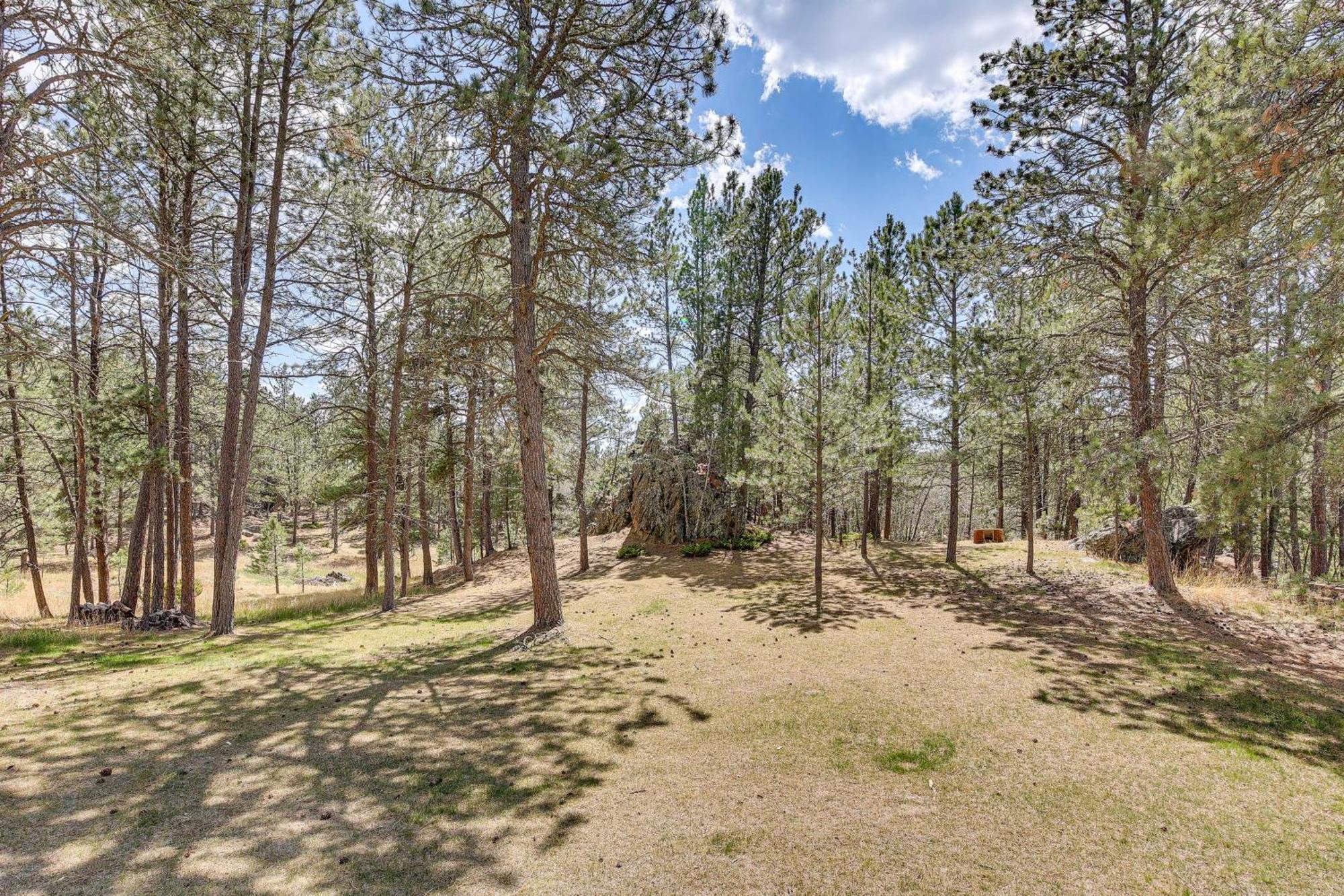 Private Black Hills Home With Corral Horses Welcome カスター エクステリア 写真