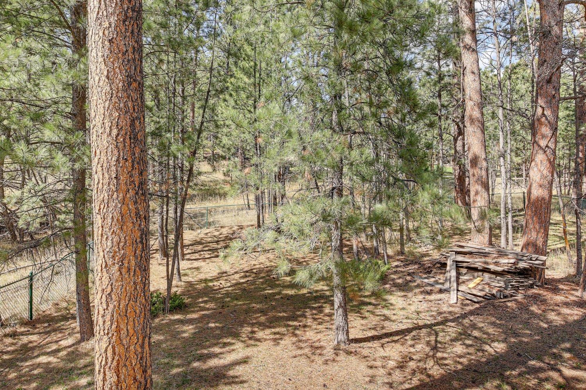 Private Black Hills Home With Corral Horses Welcome カスター エクステリア 写真
